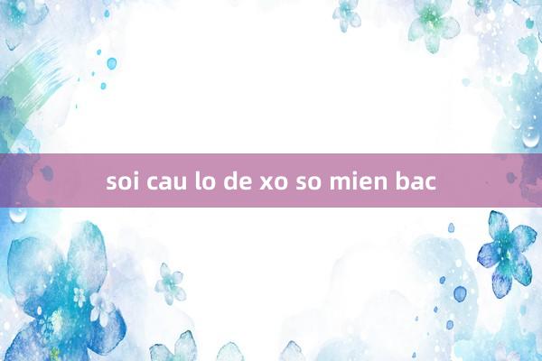 soi cau lo de xo so mien bac