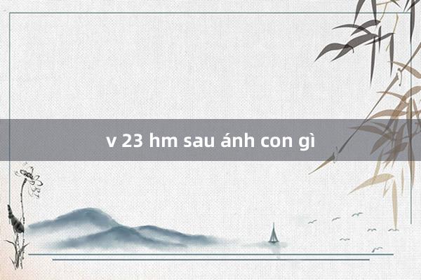 v 23 hm sau ánh con gì