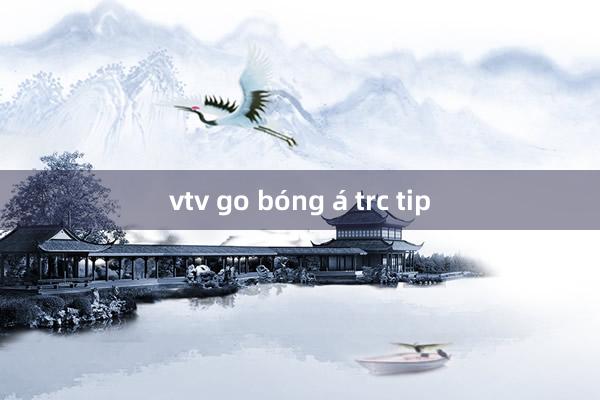 vtv go bóng á trc tip