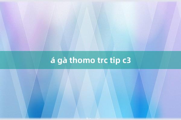 á gà thomo trc tip c3