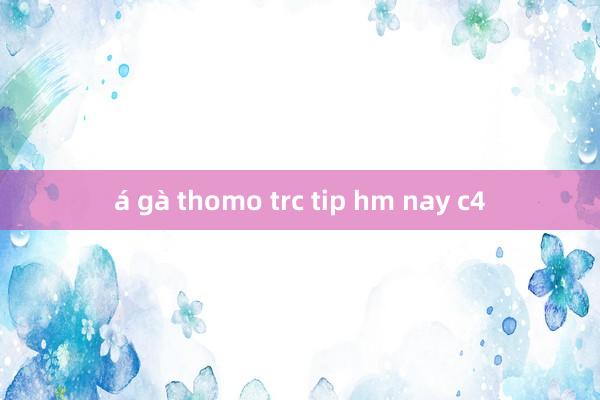 á gà thomo trc tip hm nay c4