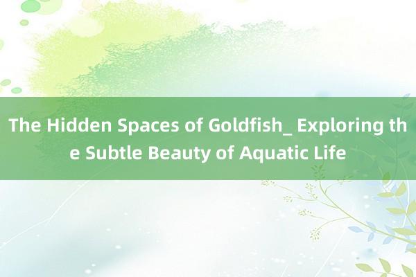 The Hidden Spaces of Goldfish_ Exploring the Subtle Beauty of Aquatic Life