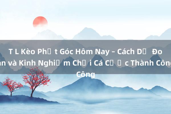 T L Kèo Phạt Góc Hôm Nay – Cách Dự Đoán và Kinh Nghiệm Chơi Cá Cược Thành Công