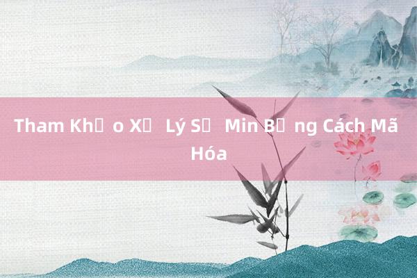 Tham Khảo Xử Lý Số Min Bằng Cách Mã Hóa