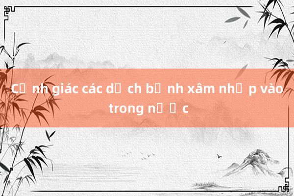 Cảnh giác các dịch bệnh xâm nhập vào trong nước